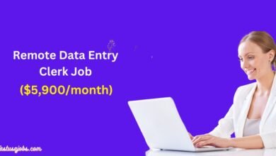 Remote Data Entry Clerk Job