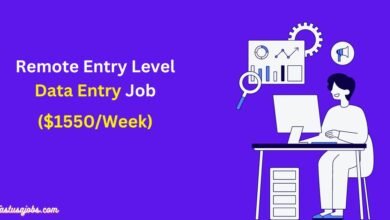 Remote Entry Level Data Entry Job for Beginners