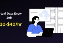 Virtual Data Entry Job