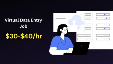 Virtual Data Entry Job