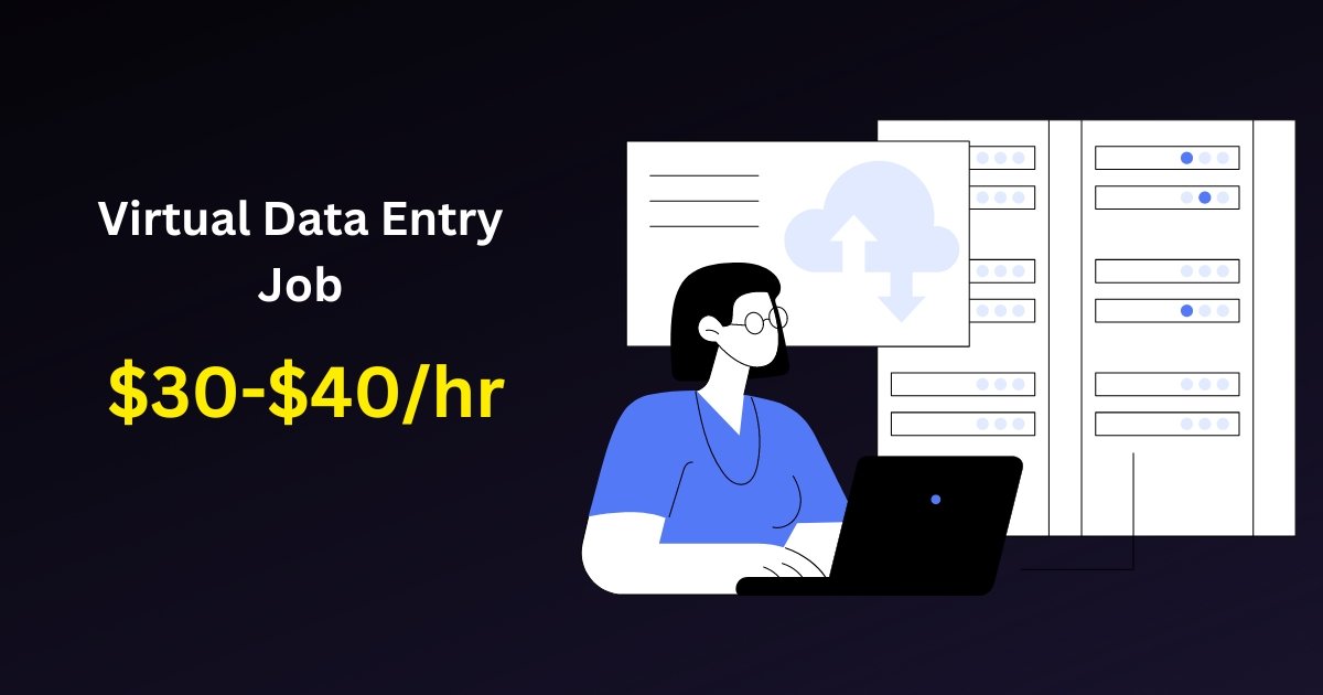 Virtual Data Entry Job